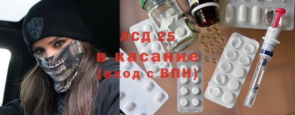 сатива Новокубанск