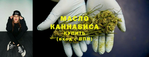 сатива Новокубанск