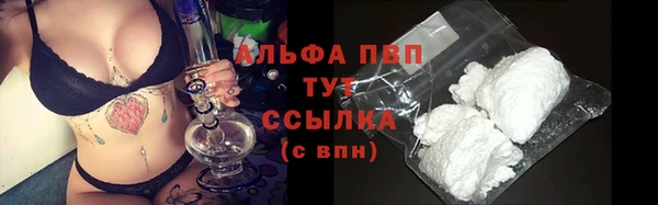 сатива Новокубанск