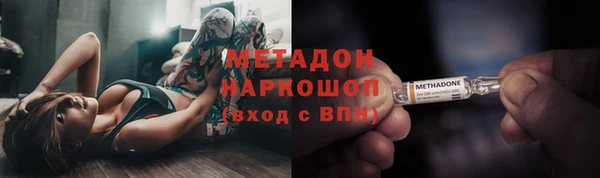 сатива Новокубанск
