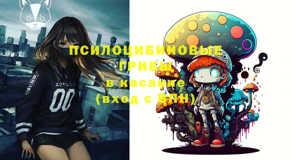 PSILOCYBIN Новозыбков