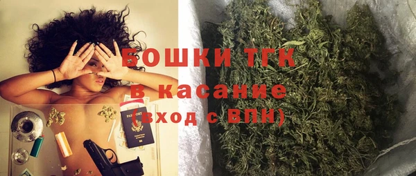PSILOCYBIN Новозыбков