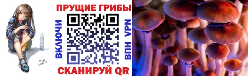Псилоцибиновые грибы ЛСД  где купить наркоту  Руза 