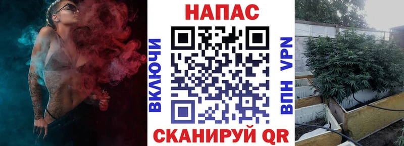 МАРИХУАНА ГИДРОПОН  где можно купить   Руза 